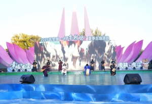 2025年全国“四季村晚”夏季主场活动在黑龙江虎林举办