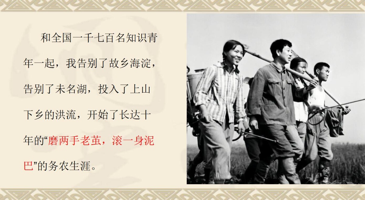 未名湖畔的畅想