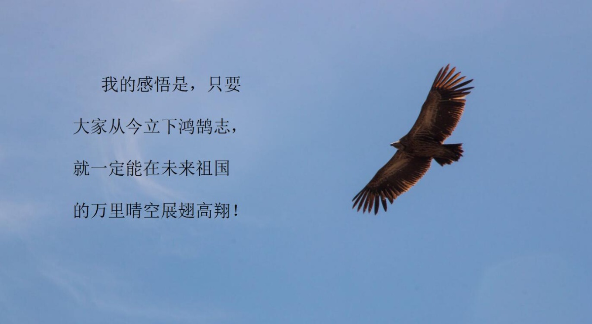 未名湖畔的畅想