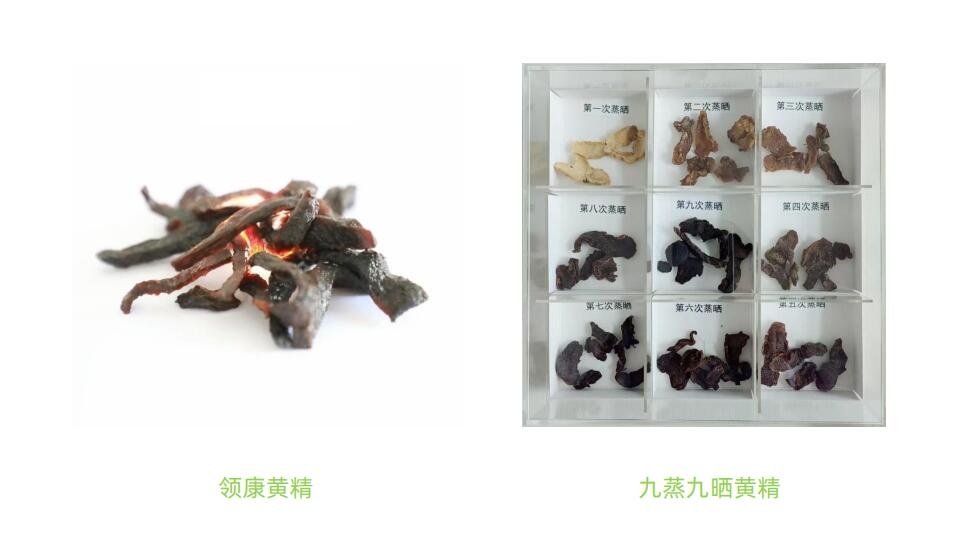 黄精系列产品介绍